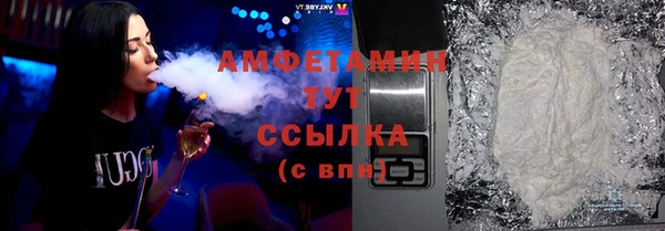 прущая мука Вяземский