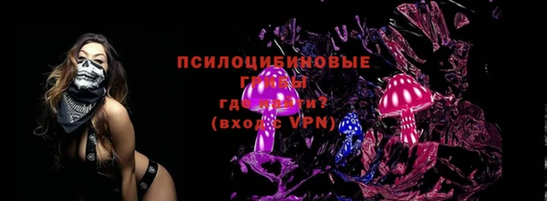 прущая мука Вяземский