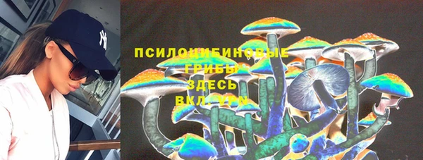 прущая мука Вяземский